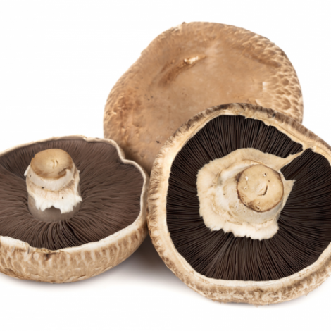 Cogumelo Portobello 200g