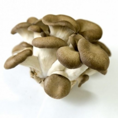 Cogumelo Shimofuri 200g